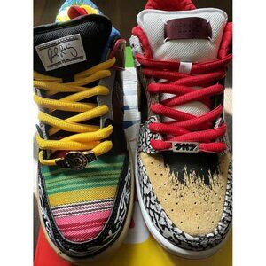 Paul Rodriguez Nike SB skateboarding dunks